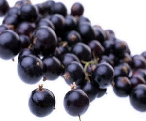 Black Currants Black Currants
