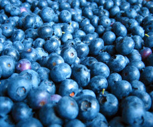 Blueberries Blueberries