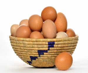 Eggs Eggs